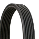 Correa trapecial poli V CONTINENTAL CTAM 7DPK2950