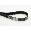 Correa dentada CONTINENTAL CTAM CT1005