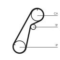 Correa dentada CONTINENTAL CTAM CT1020