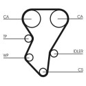 Correa dentada CONTINENTAL CTAM CT588