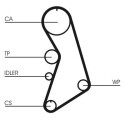 Juego de correas dentadas CONTINENTAL CTAM CT909K9