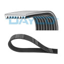 Correa trapecial poli V DAYCO 8PK1365HD