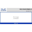 Válvula EGR RECOFICIAL RECSVG75003.0