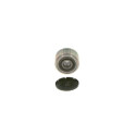 Rueda libre alternador