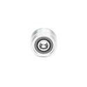 Rueda libre alternador
