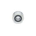 Rueda libre alternador