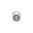 Rueda libre alternador