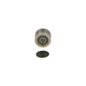 Rueda libre alternador