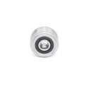 Rueda libre alternador