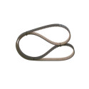 Correa dentada