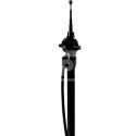 Antena