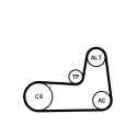 Juego de correas trapeciales poli V