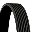 Correa trapecial poli V