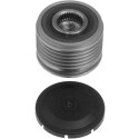 Rueda libre alternador