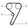 Juego de correas dentadas