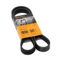 Correa trapecial poli V ContiTech 6 PK 1210