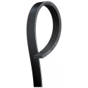 Correa trapecial poli V Micro-V® Horizon Stretch Fit