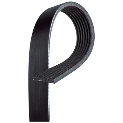 Correa trapecial poli V Micro-V® Horizon