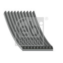 Correa trapecial poli V
