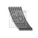 Correa trapecial poli V