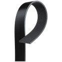 Correa trapecial poli V