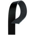 Correa trapecial poli V