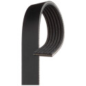 Correa trapecial poli V