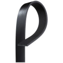 Correa trapecial poli V