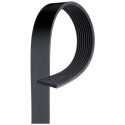 Correa trapecial poli V