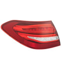 Piloto posterior