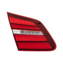 Piloto posterior