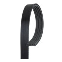 Correa trapecial poli V Micro-V® Horizon