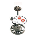 Kit De Reparación De Bomba De Agua Piaggio - RMS10