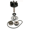 Kit De Reparación De Bomba De Agua Suzuki Burgman
