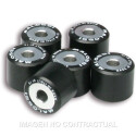 Rodillos Malossi Htroll 29.8 X 19.8 24 G   6615657