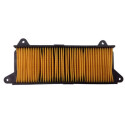El filtro de aire Champion CAF0117
