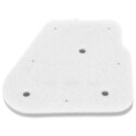 El filtro de aire Champion CAF3001DS