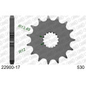 PINON 22900 - 17