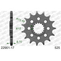 PINON 22901 - 17