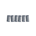 EBC CSK003 Kit de Muelles de Embrague