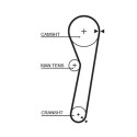 Correa dentada PowerGrip®