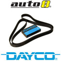 Correa trapecial poli V DAYCO 4 PK 890