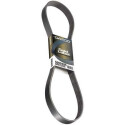 Correa trapecial poli V DAYCO 6 PK 1065