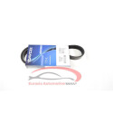 Correa trapecial poli V DAYCO 6 PK 1205