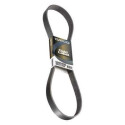 Correa trapecial poli V DAYCO 6 PK 1310