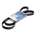 Correa trapecial poli V DAYCO 6PK1558