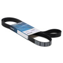 Correa trapecial poli V DAYCO 6 PK 1613