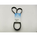 Correa trapecial poli V DAYCO 6PK1620