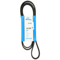 Correa trapecial poli V DAYCO 6PK1842