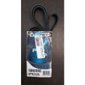 Correa trapecial poli V DAYCO 6 PK 2525